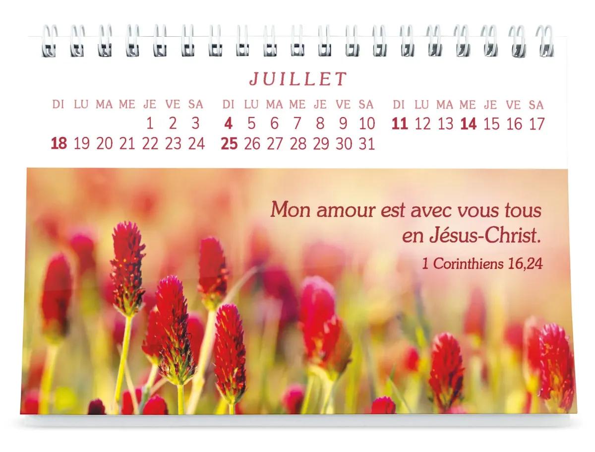 Plaisir d'offrir - Joli calendrier photo à gros caractères