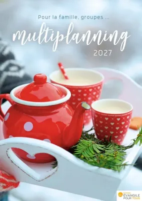 Multiplanning  - Pour la famille, groupes… - Calendrier mural