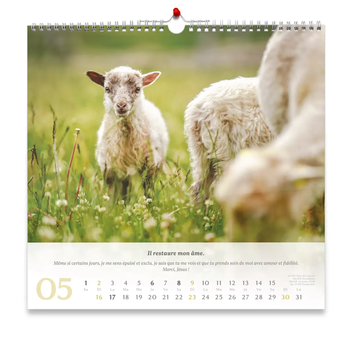 Psaume 23 - Grand format - calendrier mural