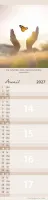 Pour tous (Paysages) - Calendrier cartes postales, vertical