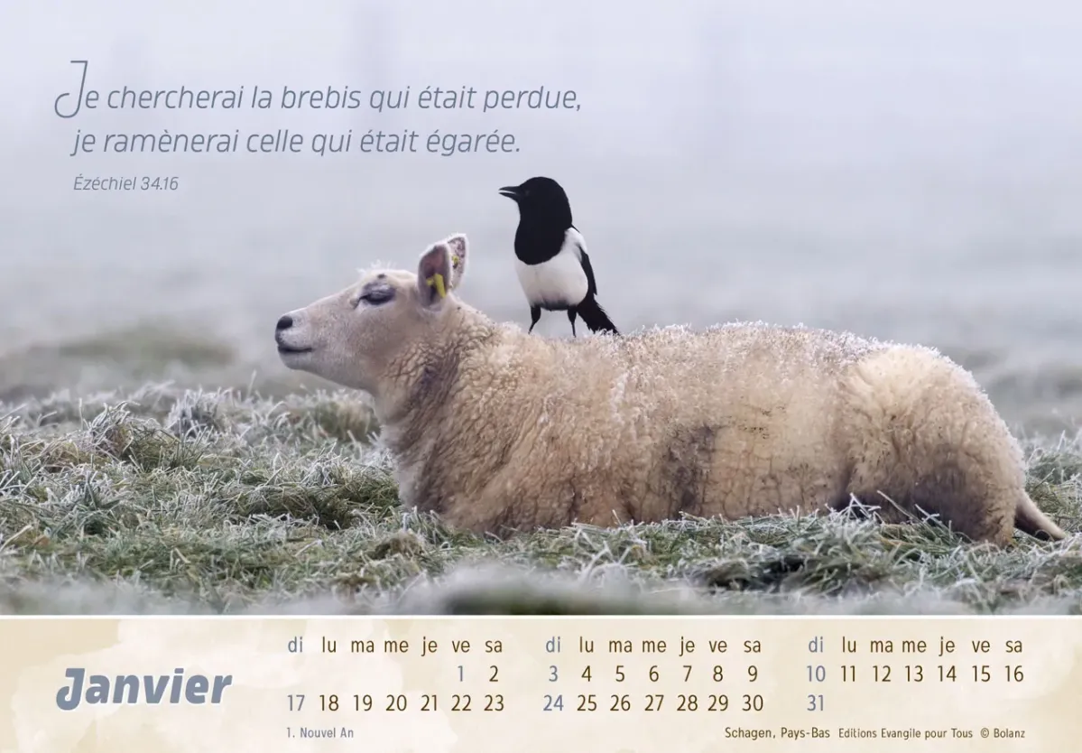 Bon berger  (Le) - Avec calendrier au dos pour tout noter - Calendrier cartes postales, horizontal