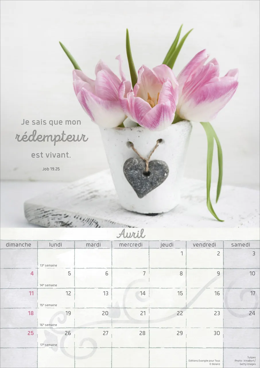 Moments de joie - Calendrier mural