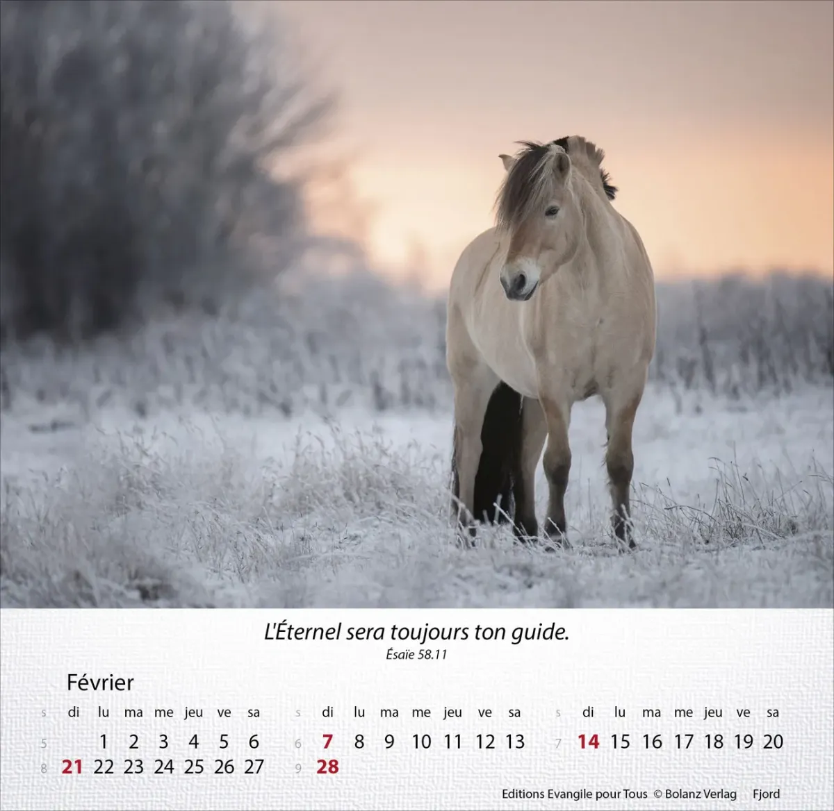 Chevaux, Merveilles de la création - Calendrier de table