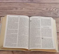 Bible Segond NEG, gros caractères, blanche - Couverture souple en toile, tranche or