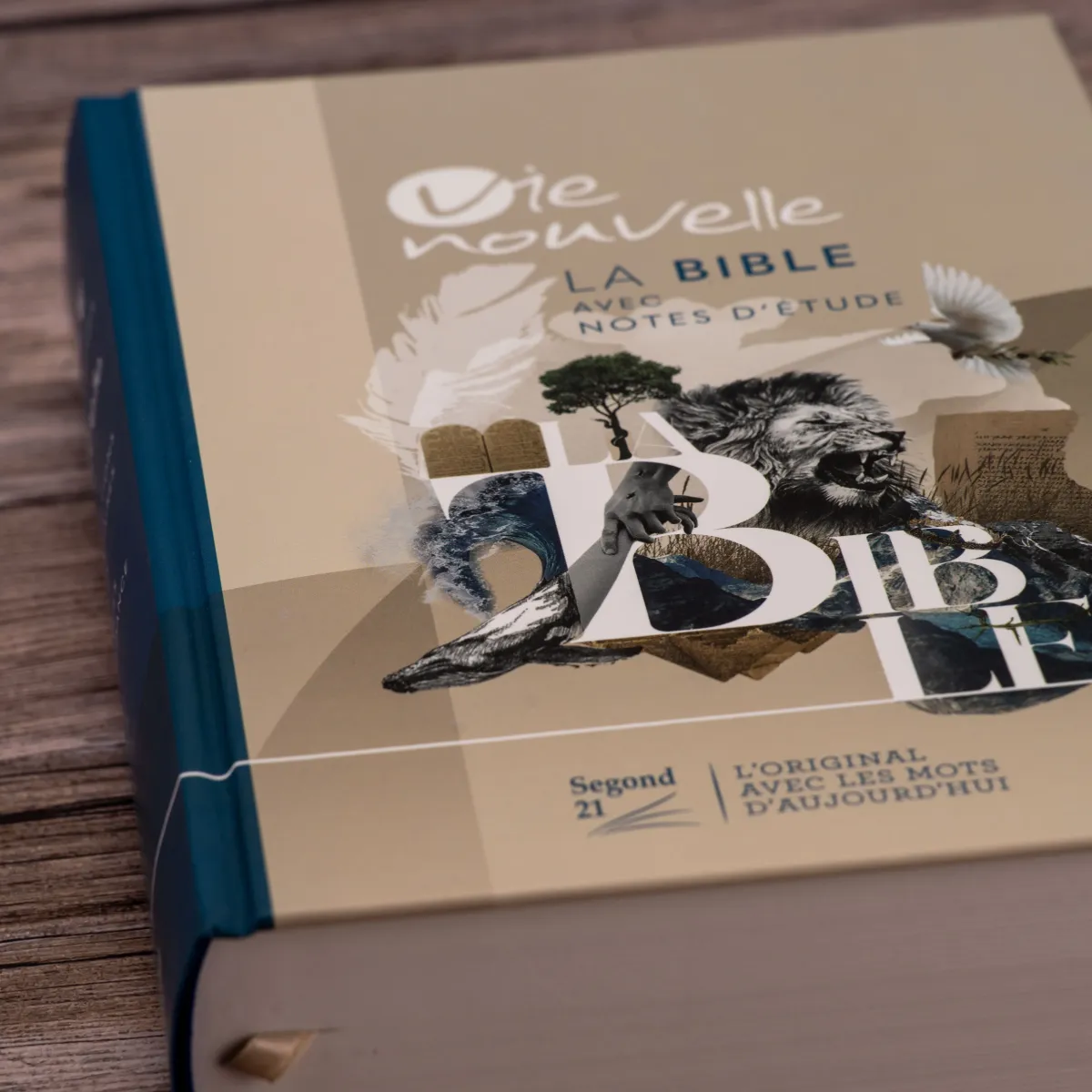 Bible d'étude Vie nouvelle, Segond 21 - couverture rigide illustrée