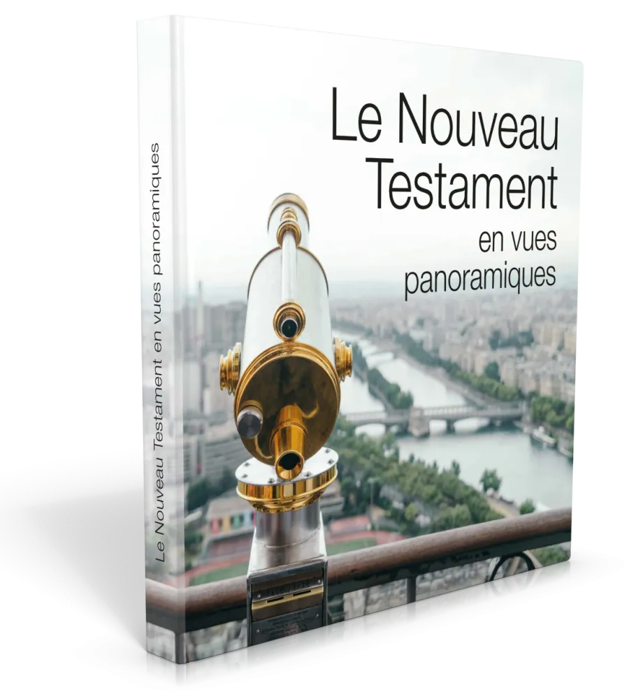 Nouveau Testament en vues panoramiques (Le)