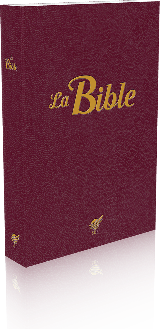 Bible Segond 1910, brochée, bordeaux - Nouvelle édition de la Bible Vie, compacte, paroles de...