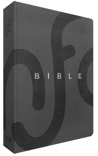 Bible Nouvelle Français Courant - couverture souple, simili cuir gris, tranche argent, avec...