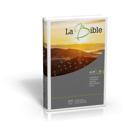 Bible Segond 21, gros caractères, illustrée - couverture rigide