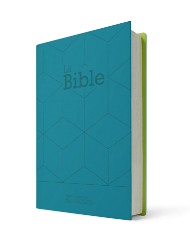 Bible Segond 21 compacte - couverture souple Vivella vert