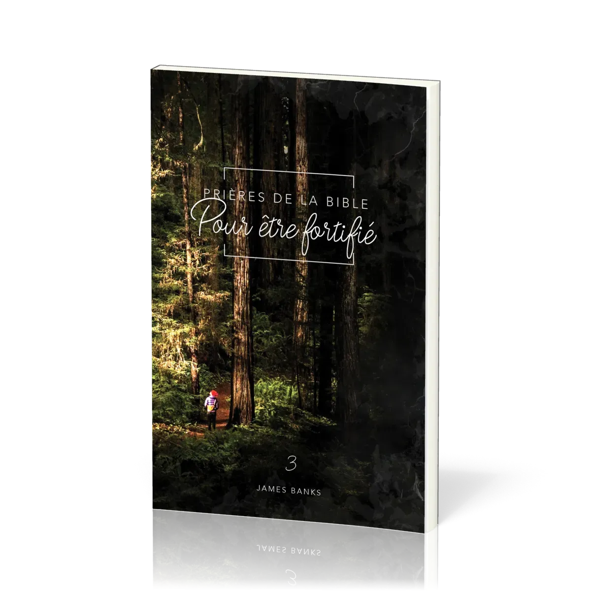 Prières de la Bible - volume 3 - Pour être fortifié