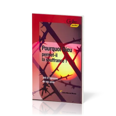 Pourquoi Dieu permet-il la souffrance? - Job à l'épreuve de ses amis