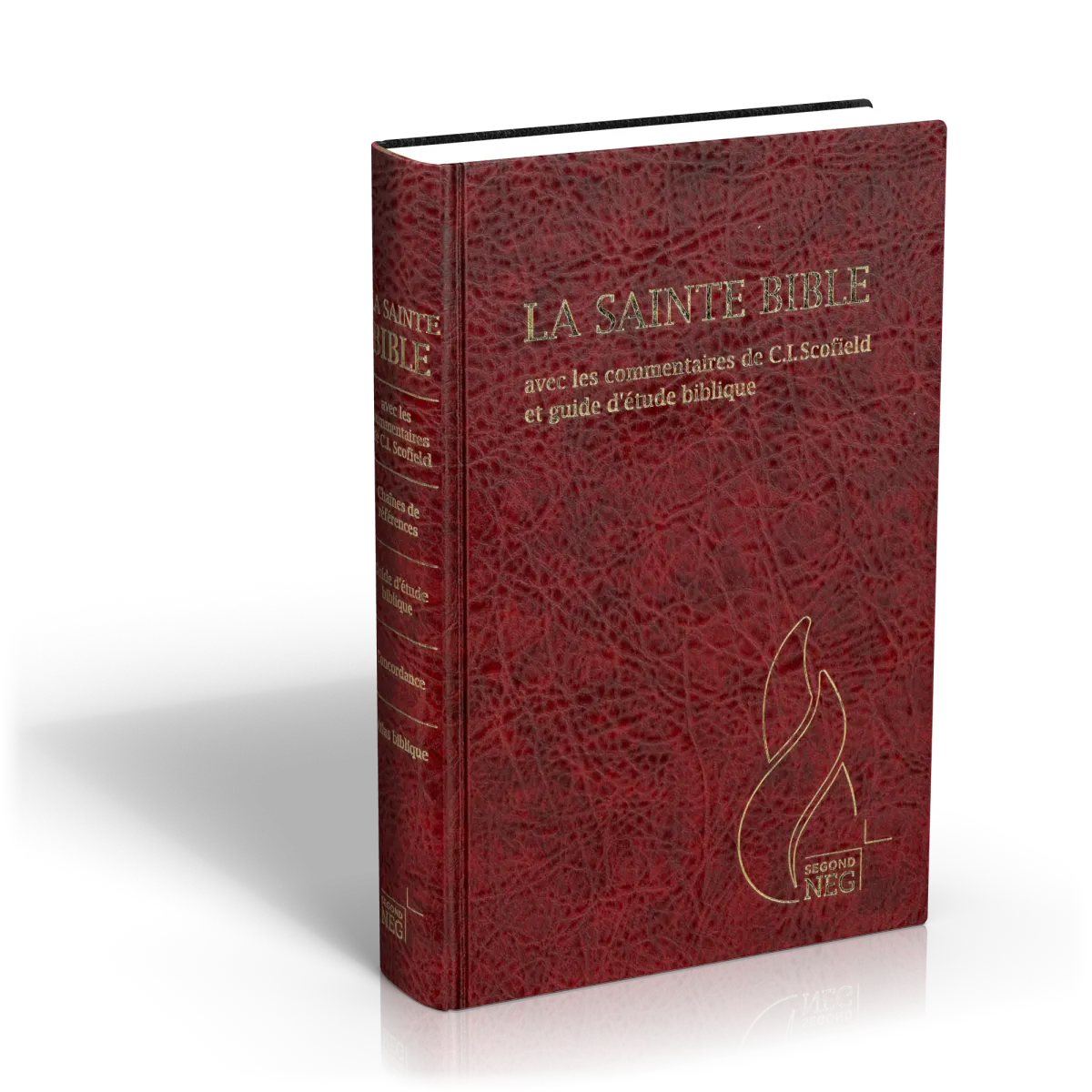 Bible d'étude Segond NEG Scofield, grenat - couverture rigide, skyvertex