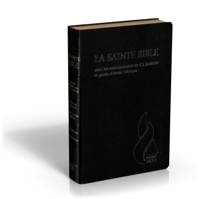 Bible d'étude Segond NEG Scofield, noire - couverture souple, fibrocuir, tranche or, avec onglets