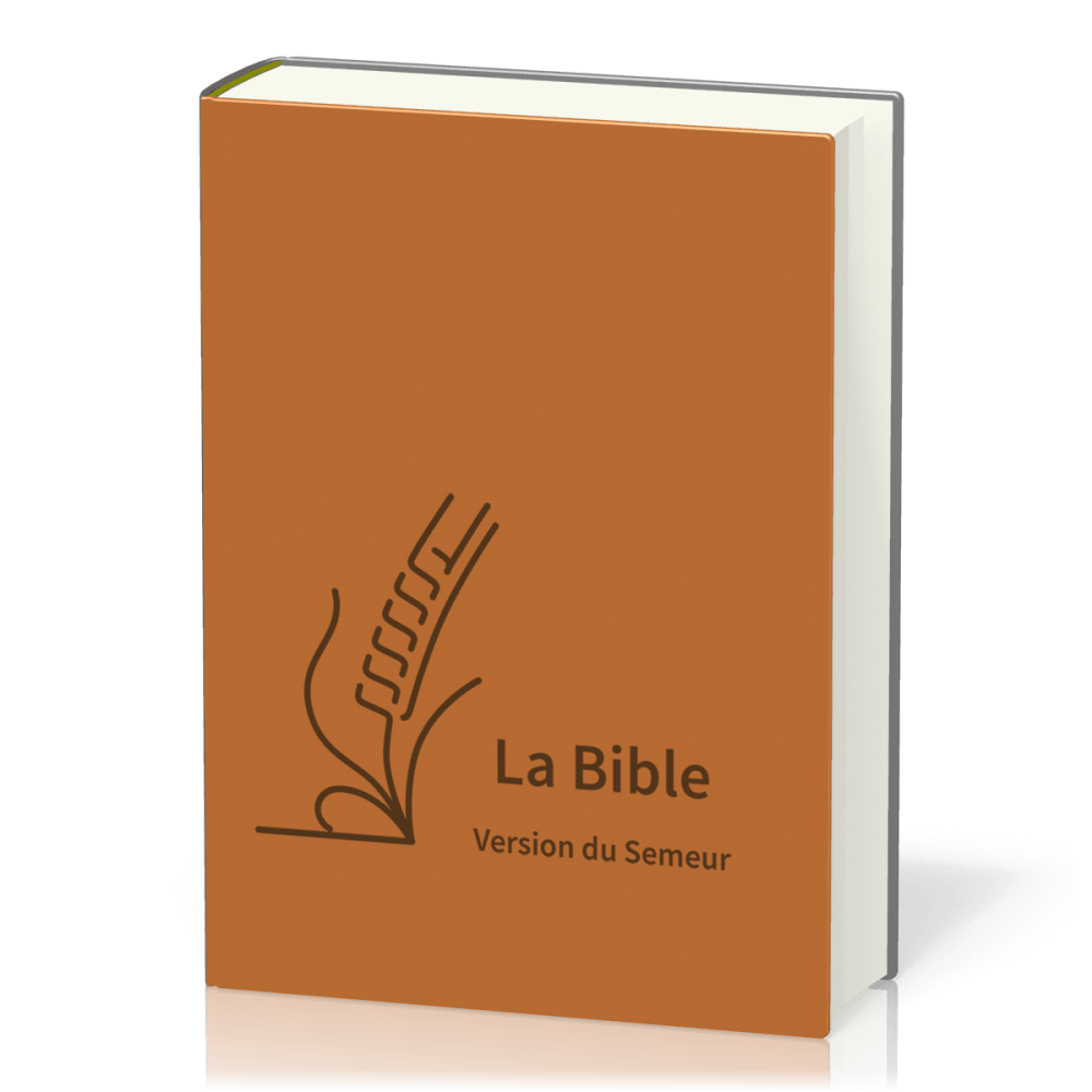 Bible Semeur 2015, gros caractères - couverture semi-souple, textile brun