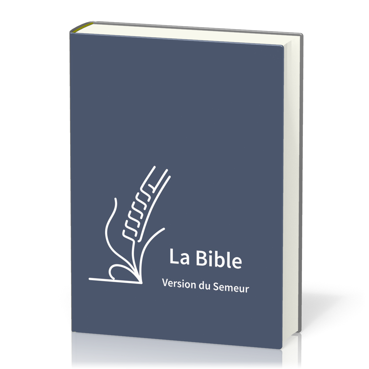 Bible Semeur 2015, gros caractères - couverture semi-souple, textile bleu
