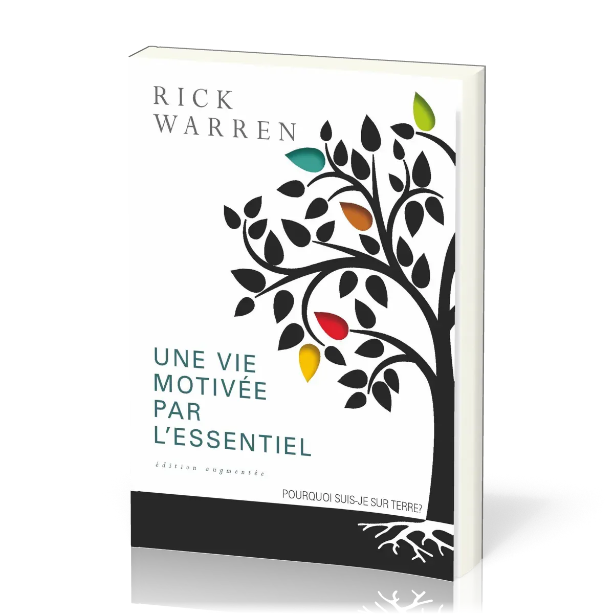Une vie motivée par l'essentiel  - Pourquoi suis-je sur terre?